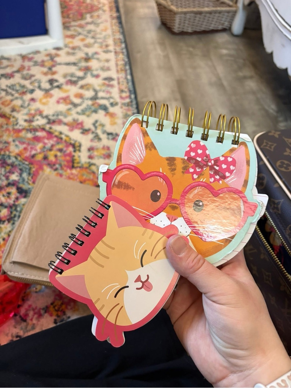 Cute Orange Cat Spiral Notebooks